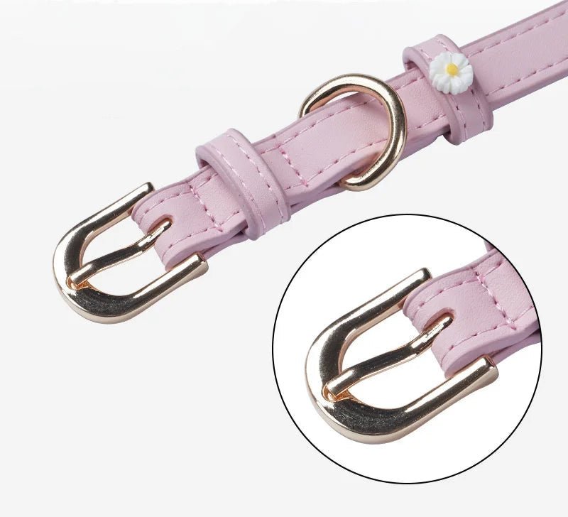 Collier élégant pour chat Oscar et Plume Violet