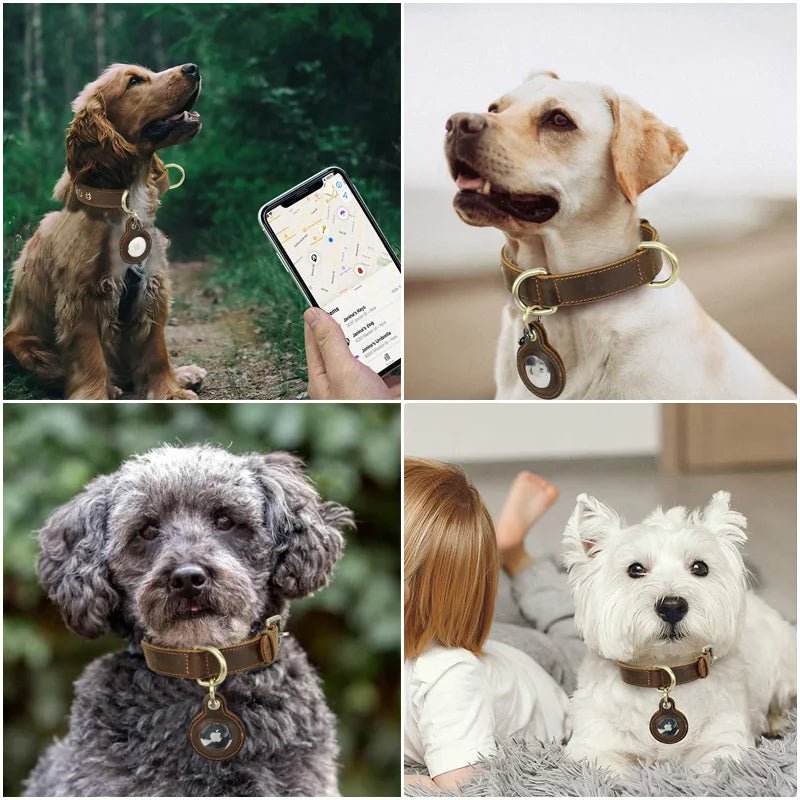 Collier en cuir avec emplacement Airtag pour chien Oscar et Plume