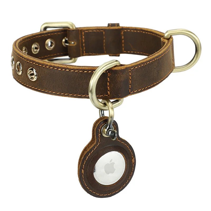 Collier en cuir avec emplacement Airtag pour chien Oscar et Plume S