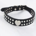 Load image into Gallery viewer, Collier en cuir durable avec brillant pour lévrier et petit chien Oscar et Plume Noir / 2XS
