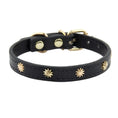 Load image into Gallery viewer, Collier en cuir durable avec rivet pour chat - Oscar et Plume
