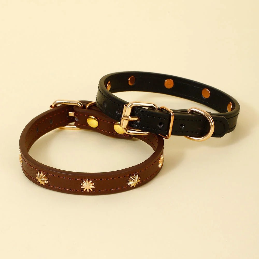 Collier en cuir durable avec rivet pour chat - Oscar et Plume