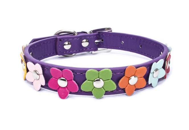 Collier en cuir durable motif Fleurs (1 rang) Oscar et Plume Violet / XS