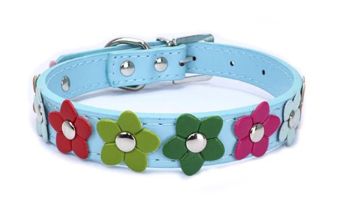 Collier en cuir durable motif Fleurs (1 rang) Oscar et Plume Bleu ciel / XS