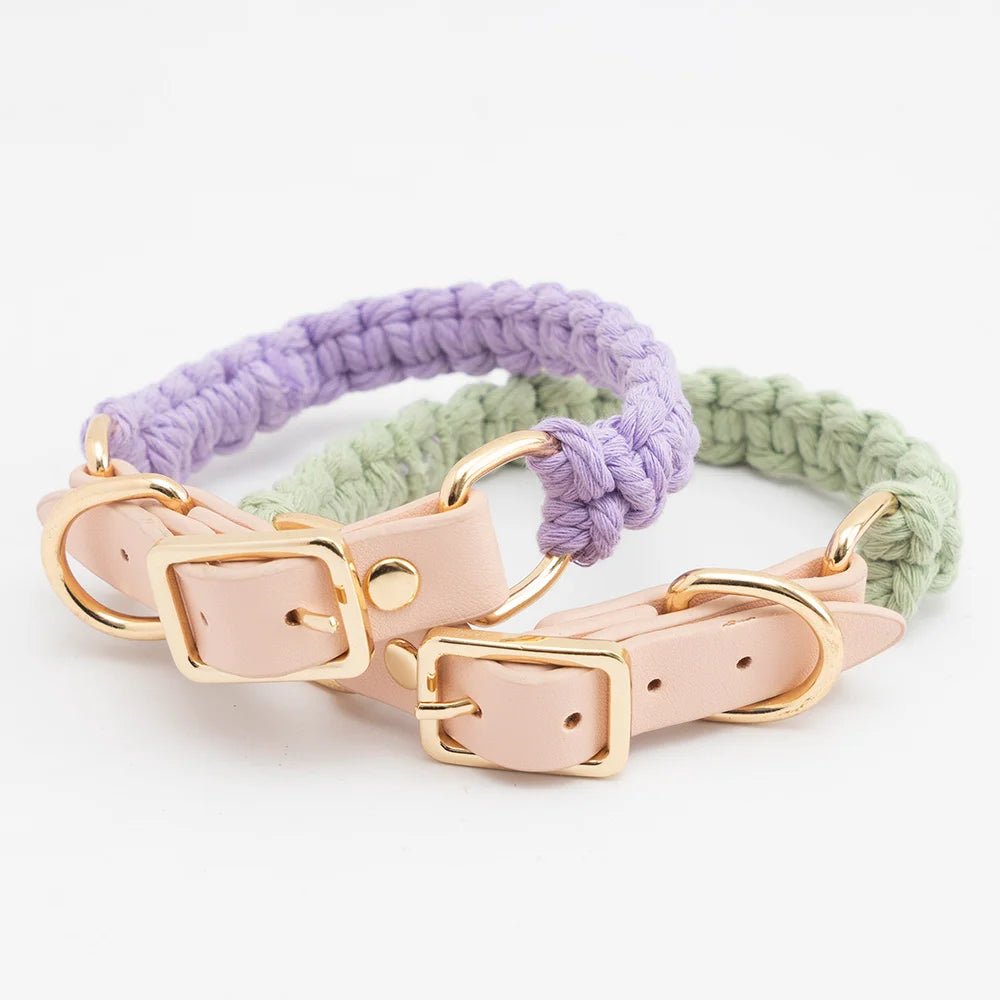 Collier en cuir et coton tressé main pour chien Oscar et Plume