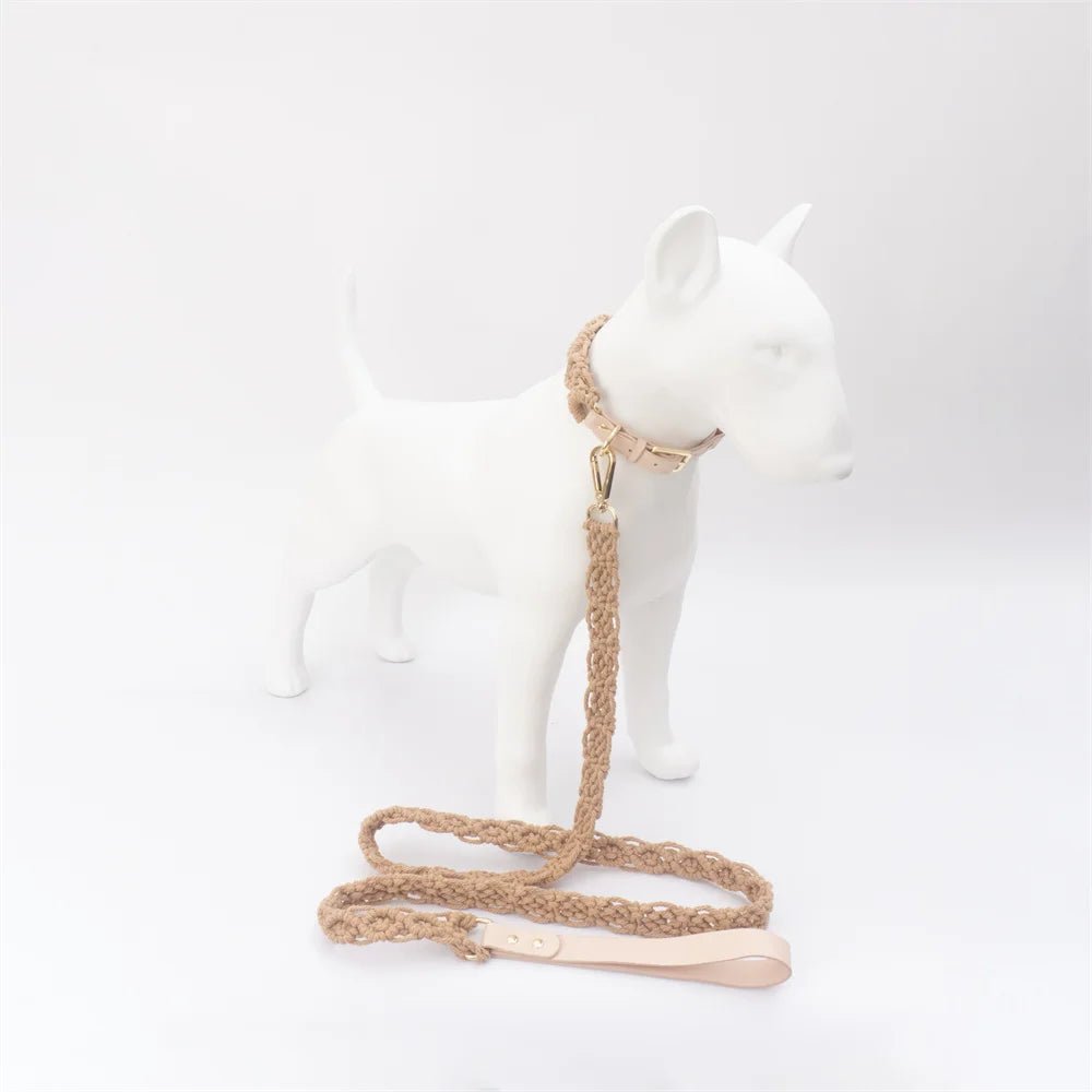 Collier en cuir et coton tressé main pour chien Oscar et Plume