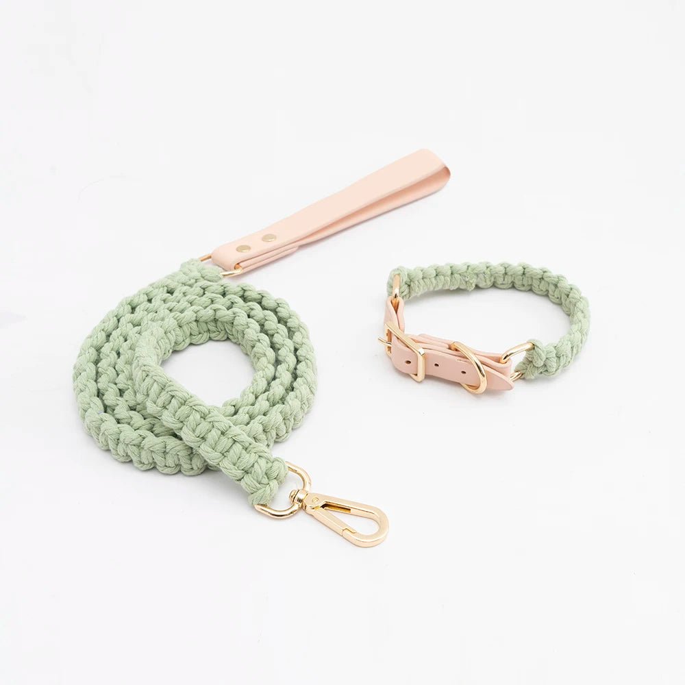 Collier en cuir et coton tressé main pour chien Oscar et Plume Ensemble vert / S