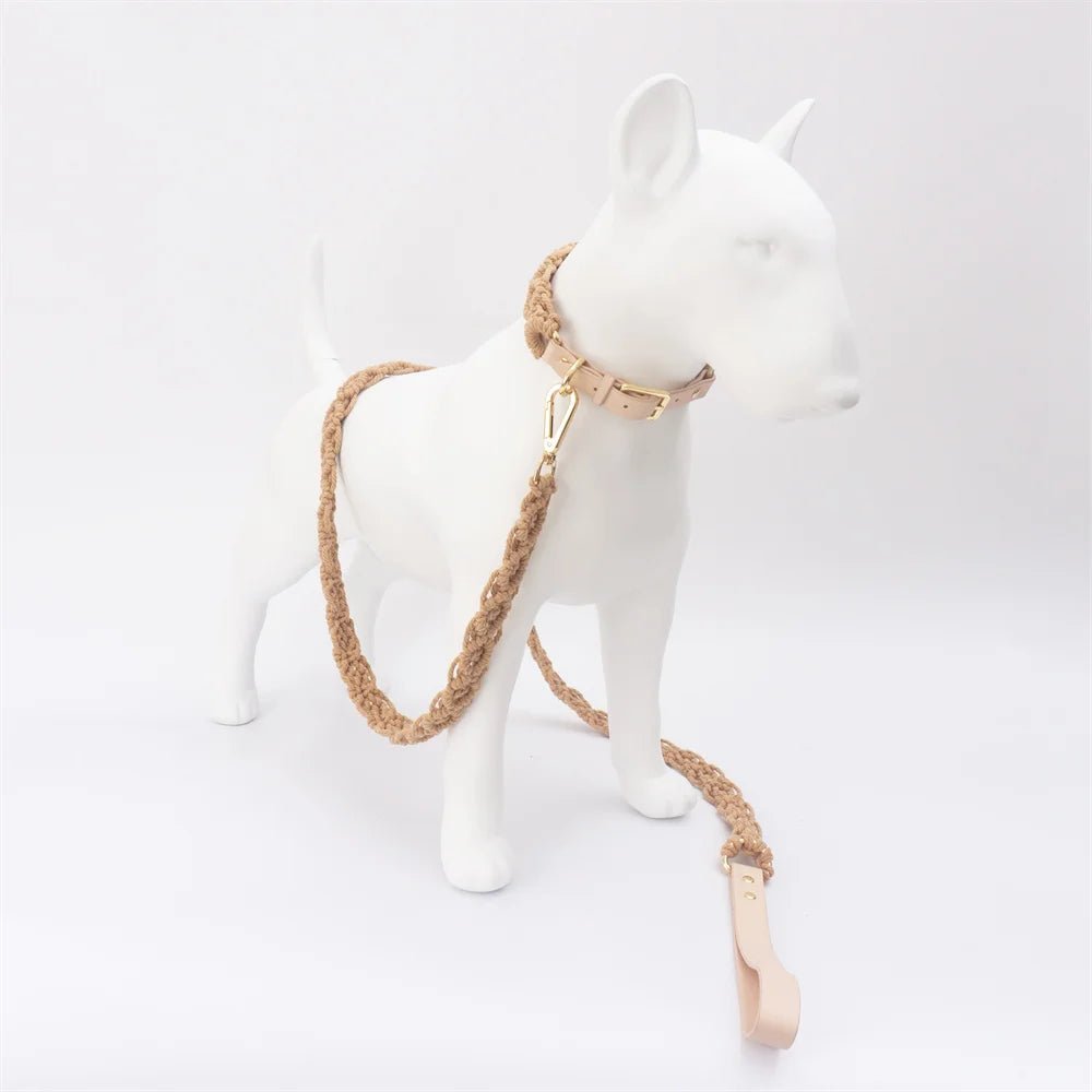 Collier en cuir et coton tressé main pour chien Oscar et Plume