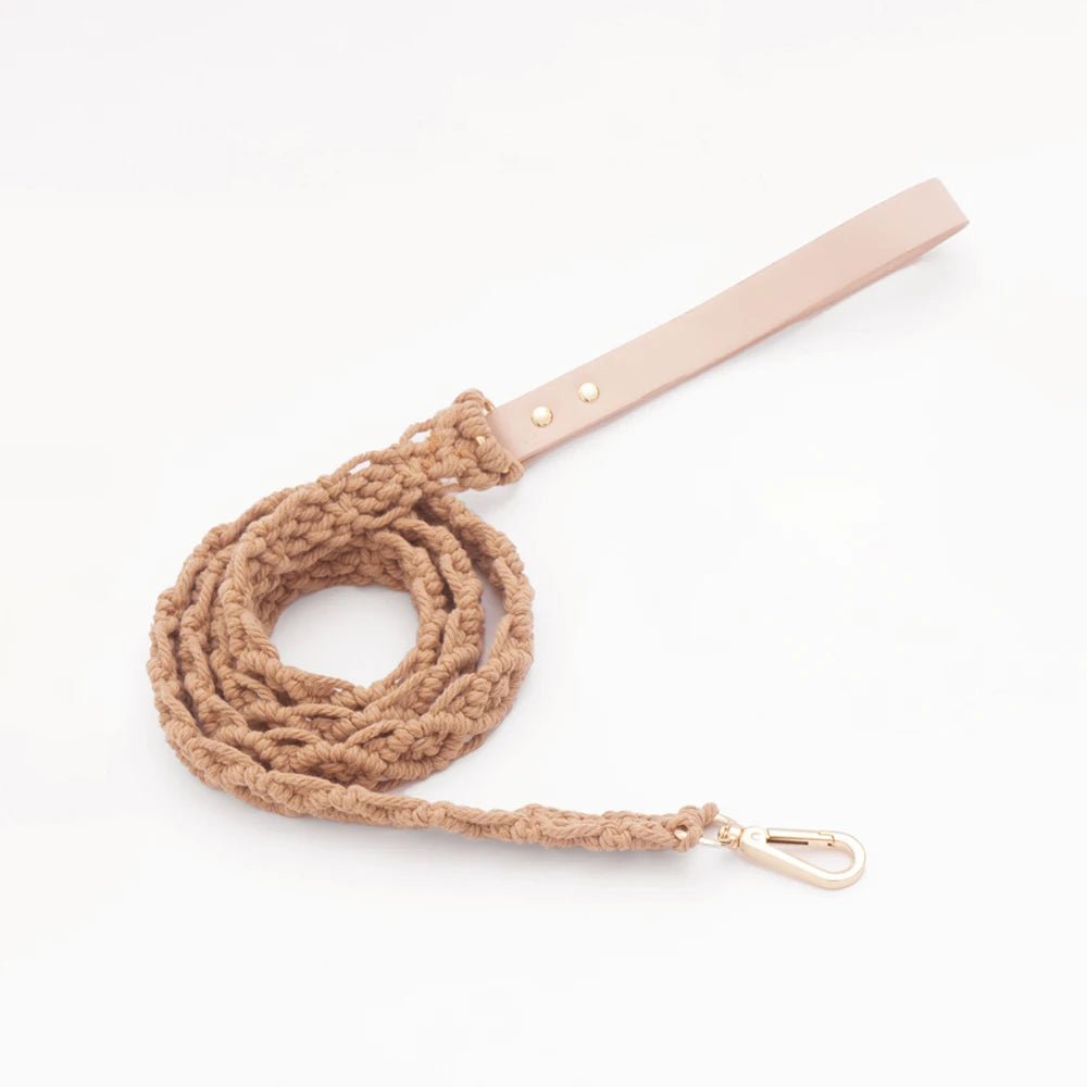 Collier en cuir et coton tressé main pour chien Oscar et Plume Laisse marron / S