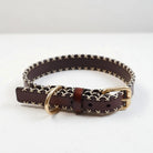 Collier en cuir pour chien marron avec des coutures blanches et boucle en métal doré
