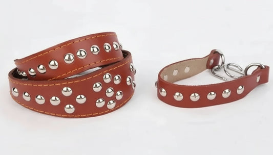 Collier en cuir pour chien marron avec clous métalliques et fermeture robuste par Oscar et Plume