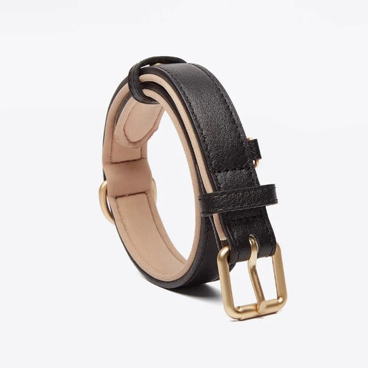 Collier en cuir pour chien noir avec boucle dorée et intérieur rembourré confortable