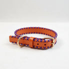 Collier en cuir pour chien orange avec des coutures bleues et une boucle en métal doré