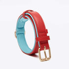 Collier en cuir pour chien rouge et bleu avec boucle métallique dorée Oscar et Plume