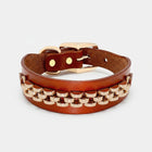 Collier en cuir pour petit chien de couleur marron avec décoration dorée et boucle ajustable Oscar et Plume