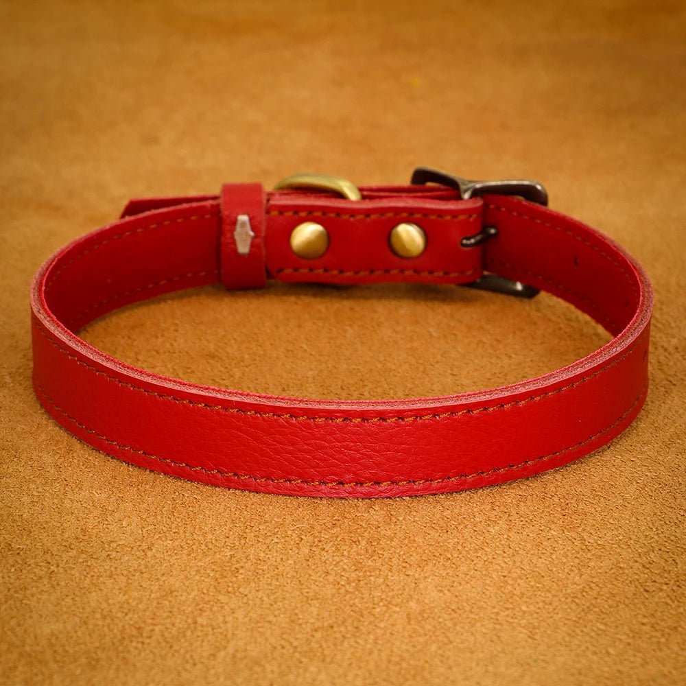 Collier en cuir souple véritable réglable pour petit et moyen chiens Oscar et Plume Rouge / S