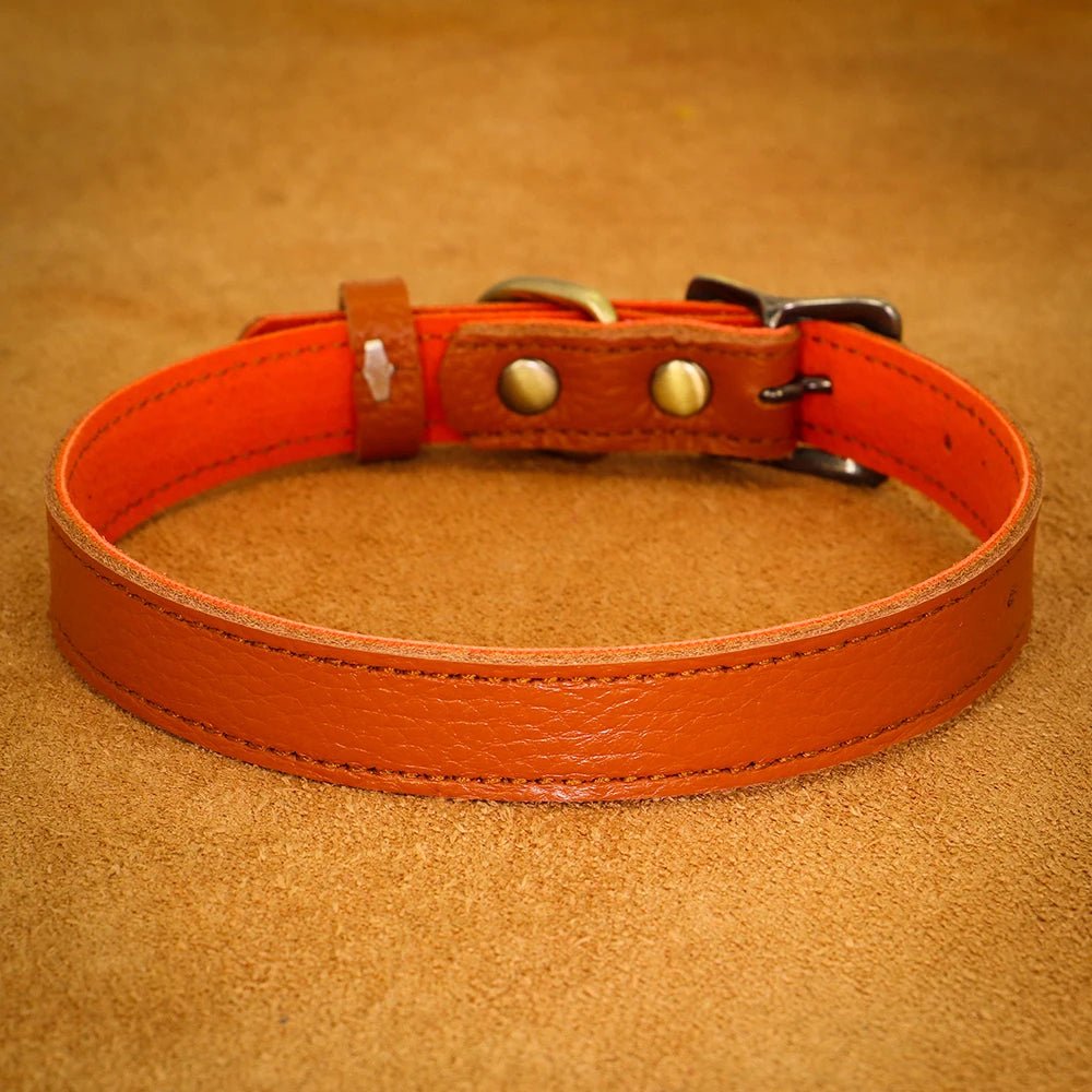 Collier en cuir souple véritable réglable pour petit et moyen chiens Oscar et Plume Orange / S