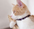 Load image into Gallery viewer, Collier en perles pour chat anxieux et peureux Oscar et Plume
