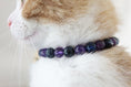 Load image into Gallery viewer, Collier en perles pour chat anxieux et peureux Oscar et Plume
