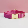 Charger l'image dans la visionneuse de la galerie, Collier en velours personnalisable Oscar et Plume Collier fushia / XS
