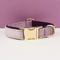 Charger l'image dans la visionneuse de la galerie, Collier en velours personnalisable Oscar et Plume Collier mauve / XS
