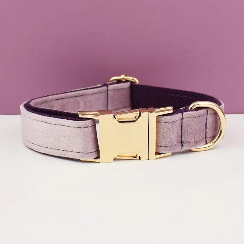 Collier en velours personnalisable Oscar et Plume Collier mauve / XS