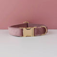 Load image into Gallery viewer, Collier en velours personnalisable Oscar et Plume Collier vieux rose / XS
