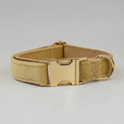 Collier en velours pour chien de couleur beige avec boucle dorée et finition élégante