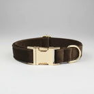 Collier en velours pour chien marron avec boucle dorée et finition douce pour le confort