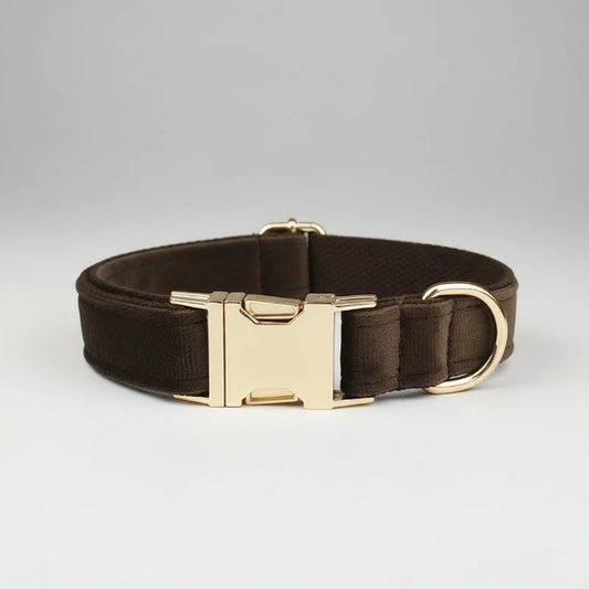 Collier en velours pour chien marron avec boucle dorée et finition douce pour le confort