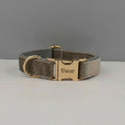 Collier en velours pour chien de Oscar et Plume avec boucle dorée élégante