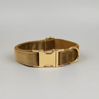 Collier en velours pour chien couleur beige avec boucle dorée élégante