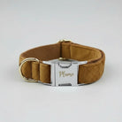 Collier en velours pour chien marron avec boucle dorée et personnalisation au nom Kelly