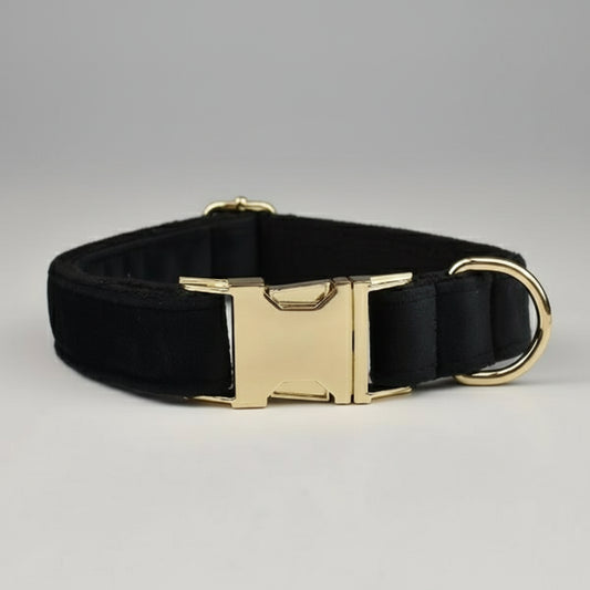 Collier en velours pour chien noir avec boucle dorée et boucle d'attache élégante