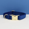 Charger l'image dans la visionneuse de la galerie, Collier en velours personnalisable Oscar et Plume Collier Bleu Roi / XS
