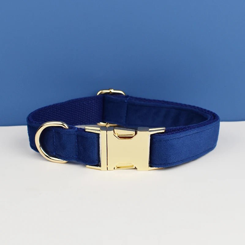 Collier en velours personnalisable Oscar et Plume Collier Bleu Roi / XS