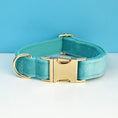 Charger l'image dans la visionneuse de la galerie, Collier en velours personnalisable Oscar et Plume Collier Turquoise / XS
