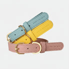 Collier et laisse chiot design en cuir grainé avec boucle dorée par Oscar et Plume