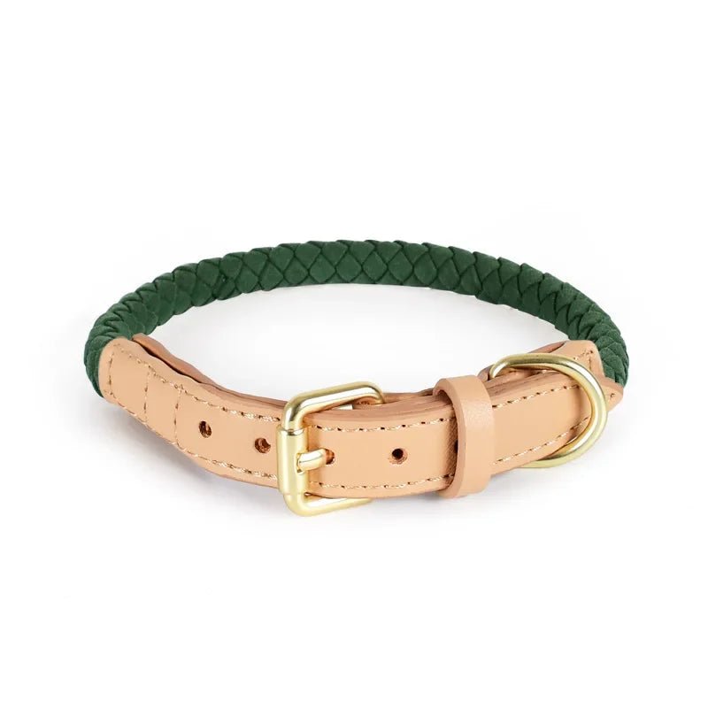 Collier et Laisse cuir durable tressé Oscar et Plume Collier vert / S