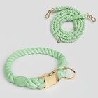 Collier et laisse en coton vert menthe avec fermeture dorée par Oscar et Plume