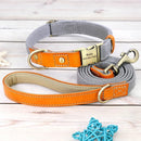 Collier et laisse personnalisable chien en cuir orange et nylon gris avec gravure personnalisée