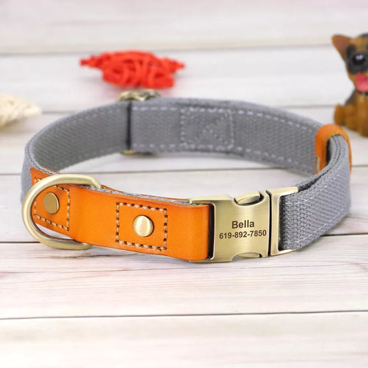 Collier et laisse personnalisable chien gris avec cuir orange et plaque gravée Bella 619-892-7850