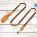 Collier et laisse personnalisable chien en cuir orange et sangle marron par Oscar et Plume