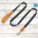 Collier et laisse personnalisable chien avec poignée cuir orange et sangle noire résistante