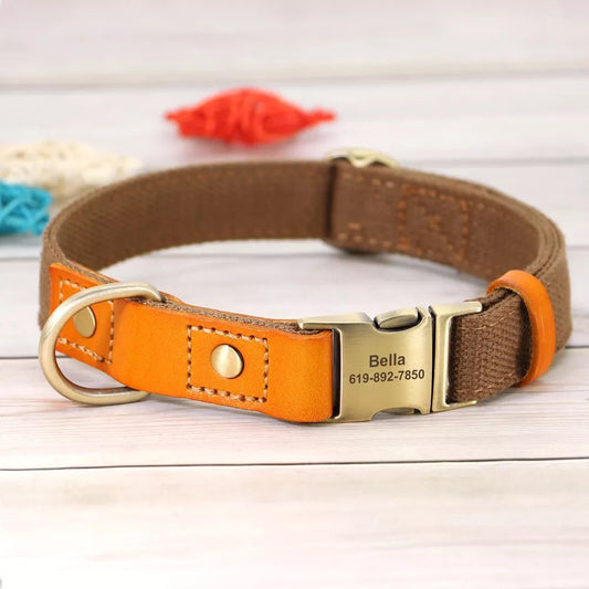 Collier et laisse personnalisable chien en cuir orange avec boucle métallique gravée Bella 619-892-7850