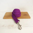 Load image into Gallery viewer, Collier et laisse personnalisable en velours pour chien Oscar et Plume Laisse Fushia / XS
