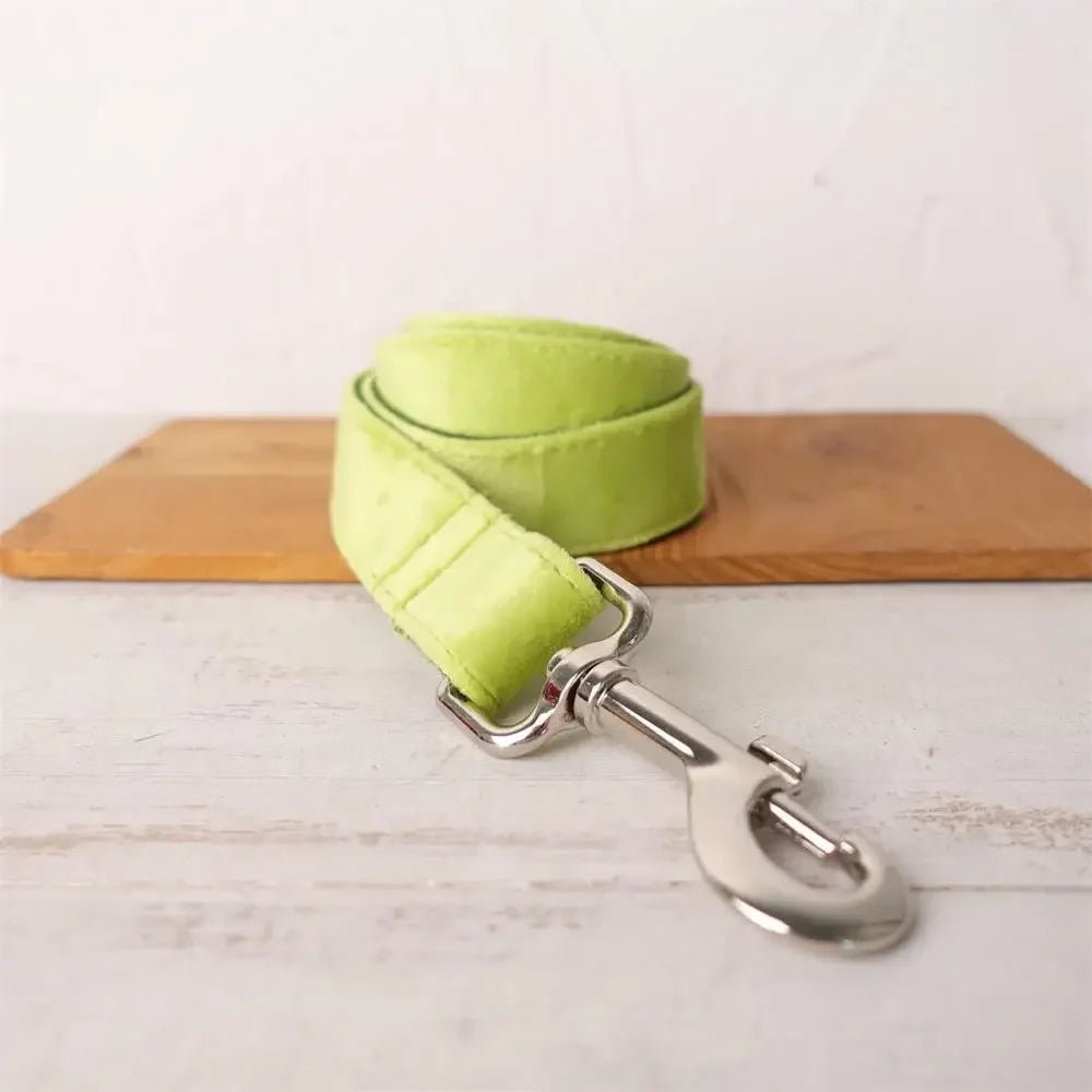 Collier et laisse personnalisable en velours pour chien Oscar et Plume Laisse vert fluo / XS