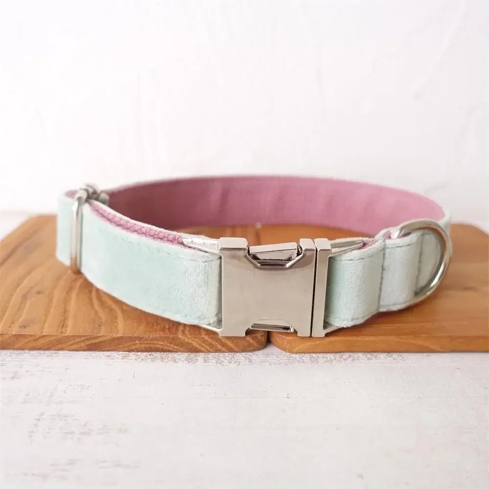 Collier et laisse personnalisable en velours pour chien Oscar et Plume