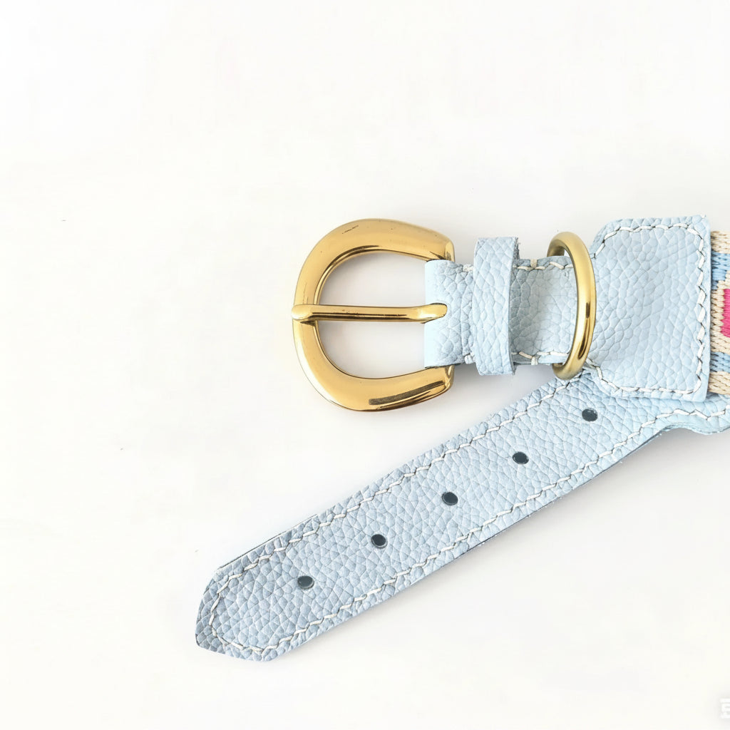 Collier et laisse pour chien en cuir bleu clair avec boucle dorée élégante