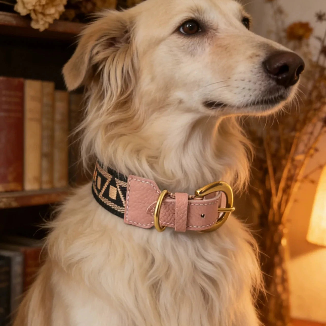 Collier et laisse pour chien Oscar et Plume avec un design élégant et une finition en cuir rose